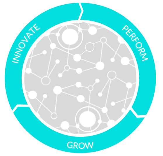 2025-krug image 2025-krug SWISS IPG | The TWIN Transformers | Transformation. By yourself. Faster. More intelligently. Your Thought and Do Factory for digital and sustainable transformation of your business